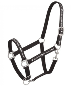 Western Show Halter with Lead - Hampton Riding Centre